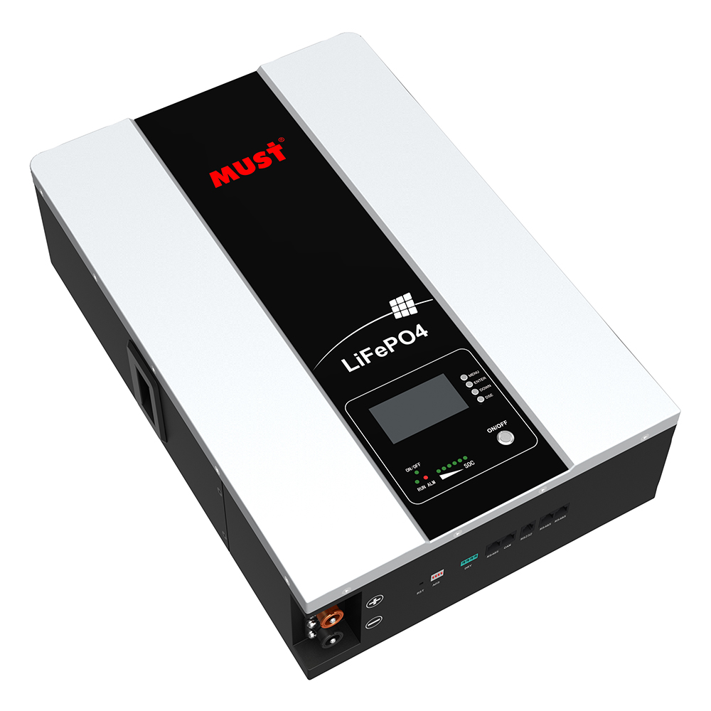 壁挂式磷酸铁锂电池LP16-48200 (51.2V/200Ah)